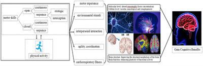 Motor skills and cognitive benefits in children and adolescents: Relationship, mechanism and perspectives